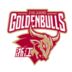 https://img.tiyuzhibojian.com.cn/img/basketball/team/d1d77f07287fe840a7e77459e5bd1bfc.png