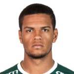 https://img.tiyuzhibojian.com.cn/img/football/player/1495e63fc811824f02fd7fba9d254b1f.png