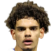 https://img.tiyuzhibojian.com.cn/img/football/player/19198e45f81a0add4651fdb6197a3d8c.png