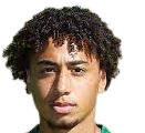 https://img.tiyuzhibojian.com.cn/img/football/player/347a6d58ae7ec0425a4d42bc9215c411.png