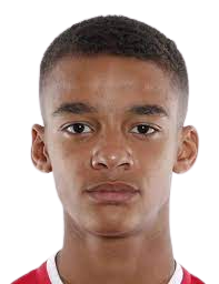 https://img.tiyuzhibojian.com.cn/img/football/player/36ffb830d16dba074b96e5c8c1a2608f.png