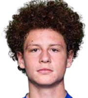 https://img.tiyuzhibojian.com.cn/img/football/player/9597ace3a65a48cd0087550d97317ab0.png