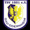 https://img.tiyuzhibojian.com.cn/img/football/team/0425718c842cc1330a6507bdde3c1da4.png