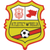 https://img.tiyuzhibojian.com.cn/img/football/team/1cd995bdc2b652d31129d027afb27ed8.png