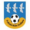 https://img.tiyuzhibojian.com.cn/img/football/team/259a1106a33b56d2bb3c458a62ffa2ea.png
